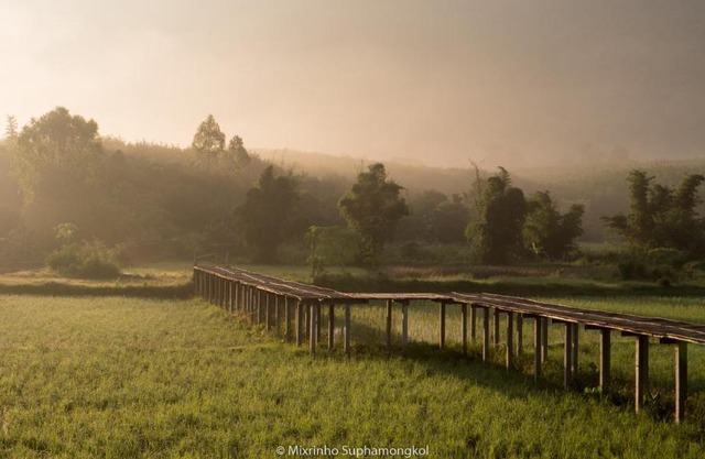 Phuruarounmai Organic Living Resort