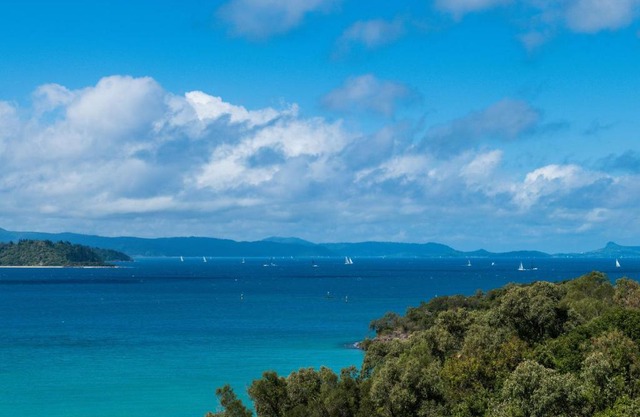 Picturesque on Passage - Shute Harbour