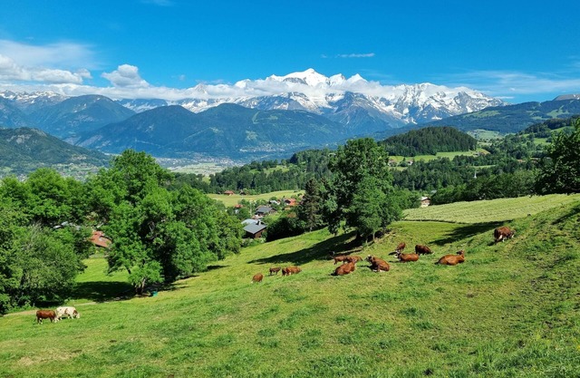 Picturesque village known as the Balcony of the Mont Blanc Massif
