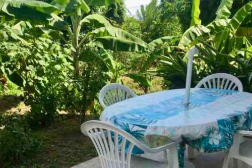 Pied-à-terre avec grand jardin, au Calme, 10min des plages, Parking gratuit