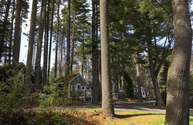 Pine Grove Cottages
