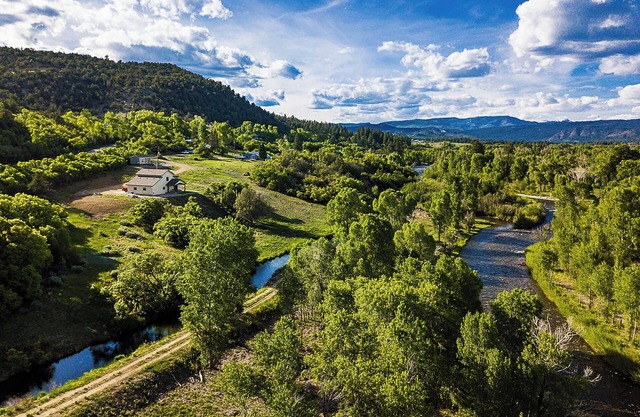 Pine River Retreat | Cabin on the Pine River, Fishing, Privacy, AC, Near Town