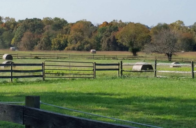 Pleasant Hills Farm Stargazer Farmstay