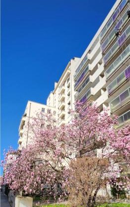 PLEIN SUD Terrasse Climatisation Garage Netflix