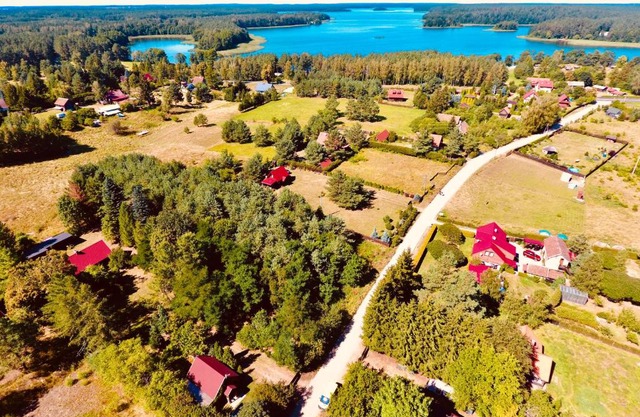 Pod lipą