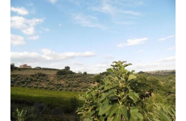 Podere Caldaruccio La Pineta - 22 people Cottage & Villa