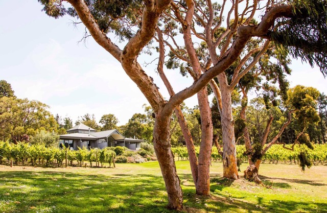 Polperro Winery Villas - Villa 4