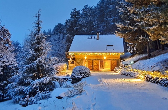 PRETTY APARTMENT IN CHALET - QUIET AND STUNNING VIEW BETWEEN GAP AND SERRE-PONCON