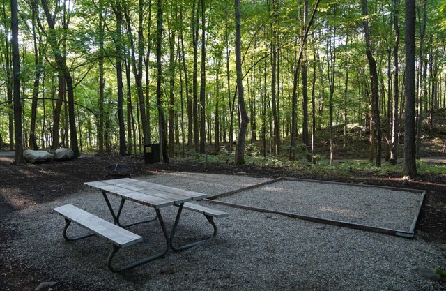 Primitive Camping Site