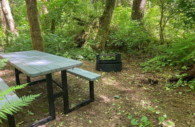 Primitive Tent Site in Enchanted Rain Forest - Site #21