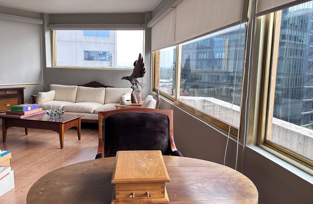 Private 2nd floor in nice and cozy Penthouse (Perfect for Executive)