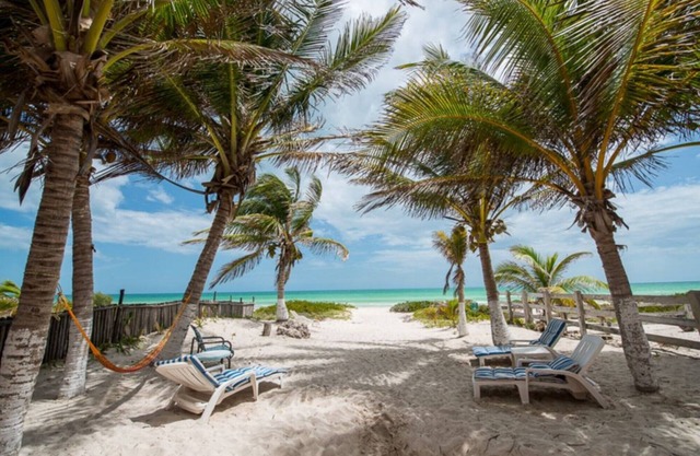 Private apartment on Palm Beach 1