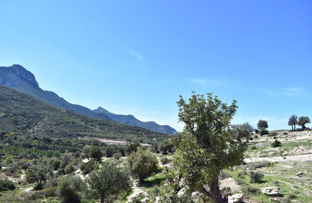 Private Family Villa in Arapkoy