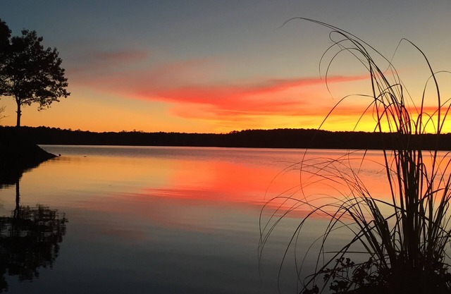 Private Lakeside Guesthouse, Amazing Views, Main Lake, Steps From Water