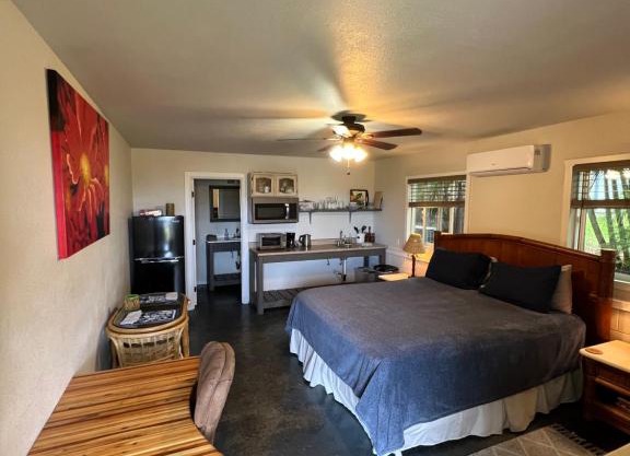 Private Ohana on the lush Hamakua coast with AC