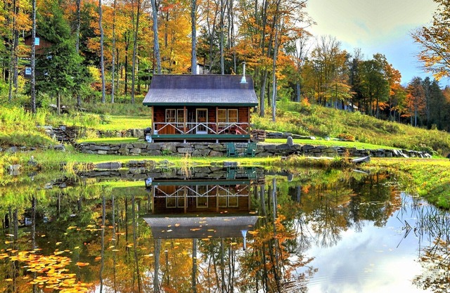 Private secluded trout cabin- sleeps 2