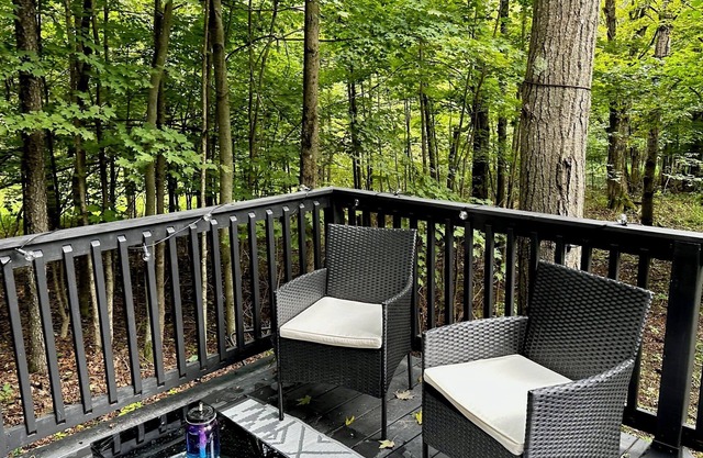 Private Tiny Cabin in Dushore! A Nature Lovers Dream