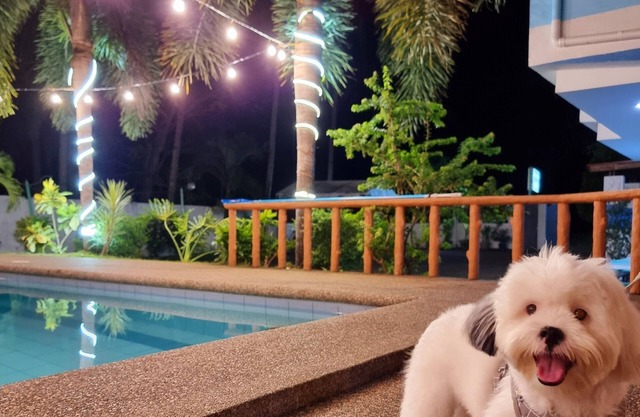 Private Villa w/pool,wifi,videoke & kitchen access
