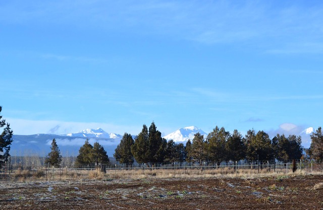Private wing on 10 acres with Mountain Views.