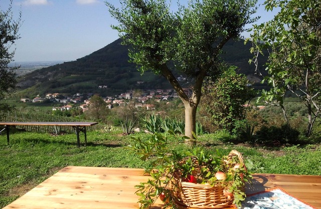 PROMOTION TRAVEL WITH BABY IN THE FAMILY from 16 to 23 August cot, high chair