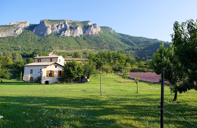 Provencal house in a huge garden with lavender (Moulin, middle house)