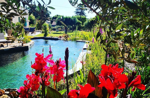 Provence chic, relaxation, Spa, natural pool in a green setting for 2