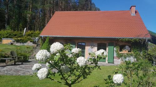 Pustki Rekowskie - Zielone Serce Kaszub
