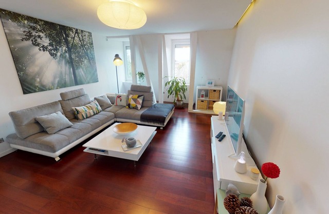 quai koch 90m2 city center 3br