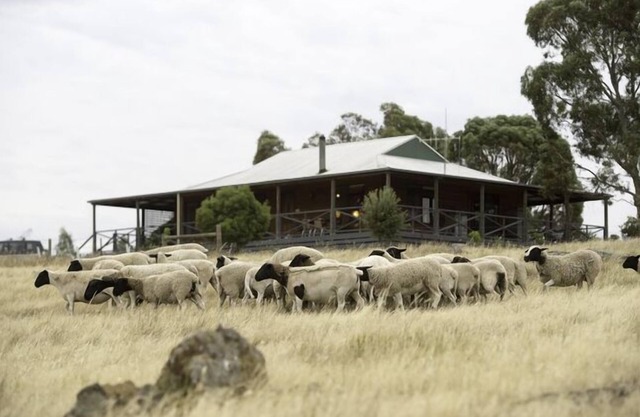 Quaint Cottage on Country Victorian Farm, Overlooking Beautiful Vineyard