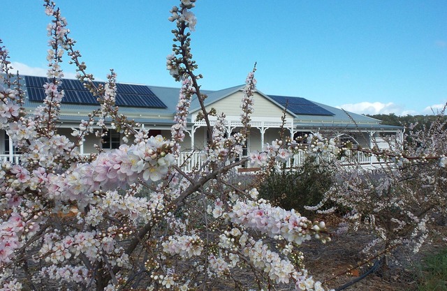 Queenslander home - with stunning views. Pet friendly!