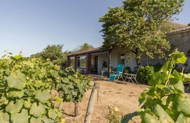 Quiet cottage on vineyard, fireplace, wifi, baby equipment, near Nantes