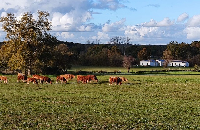 QUIET COUNTRY HOUSE