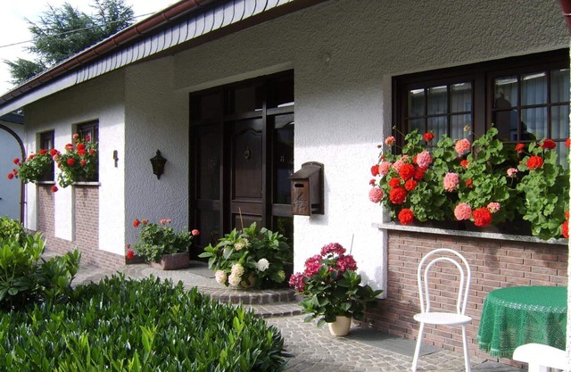 Quiet, located on the edge of the city & forest 4 star vacation apartment