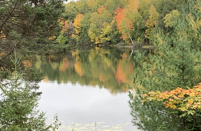 Quiet, peaceful cottage on the lake