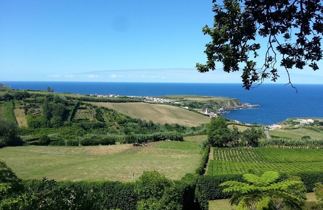 quiet secluded location, yet central, the perfect family vacation