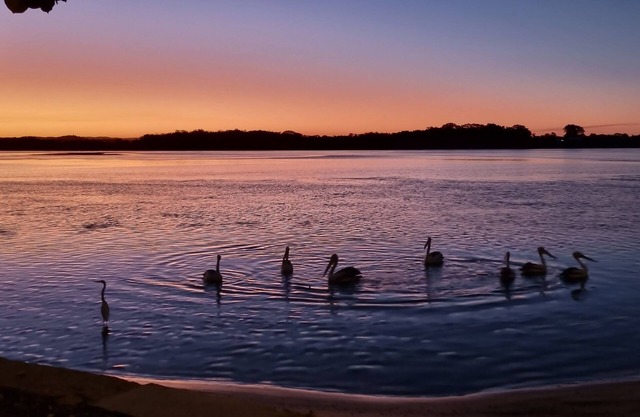 QUIET STAY, at a reduced price if you look after my pug. YOU WILL LOVE IT HERE.