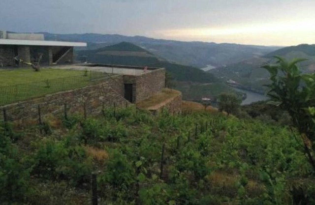 Quinta Vale das Papas, Vineyard House at Douro Valley