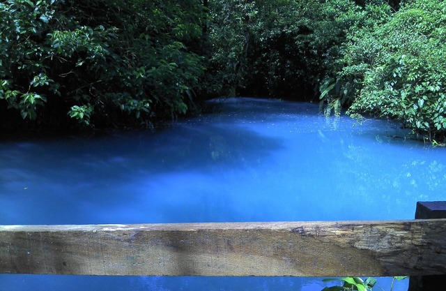 Río Celeste Katira, Private room overlooking Green Areas
