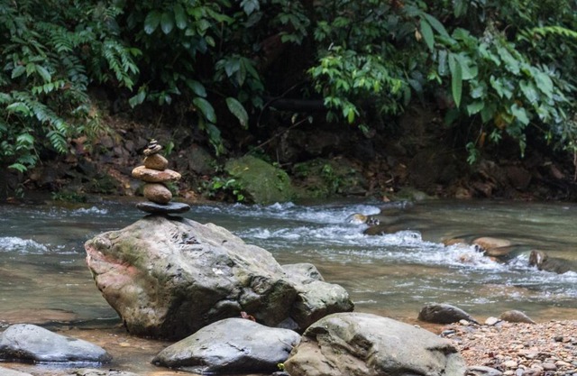 Rain Forest Guest House and Jungle Trekking