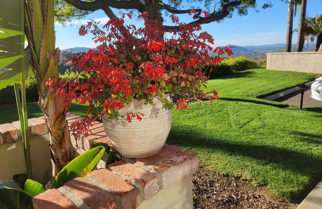 Rancho Bernardo Peaceful Comfort with Canyon Views