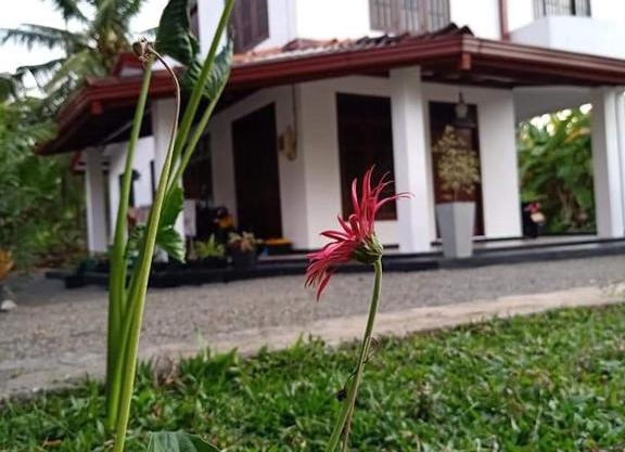 Ransavi villa