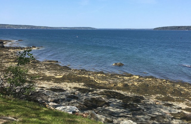 Raven's Nest Cottage on Blue Hill Bay
