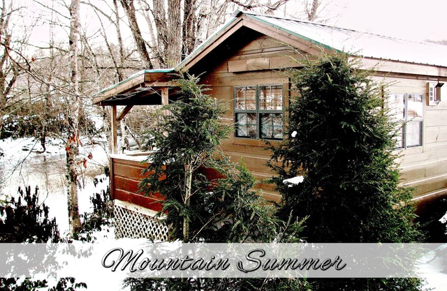 Real Logs-1BR, queen bed & futon-sleeps 4. Riverside w/Hot Tub