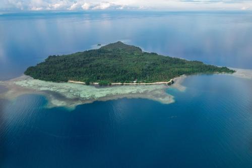 Reconnect - Private Island Resort & Dive Center Togean - Buka Buka Island