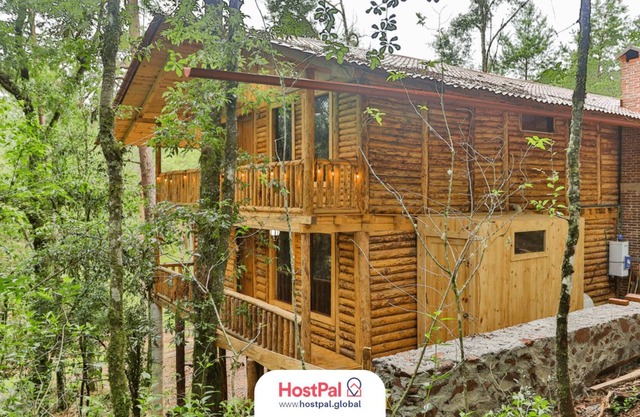 Refugio encantado | Tirolesa & Bicicletas | Bosque