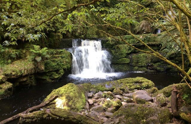 Relax in style at the Catlins Retreat, historic villa in the heart of Owaka