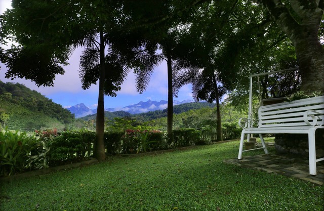 Relax in this spacious and serene space. Plenty of nature to enjoy.