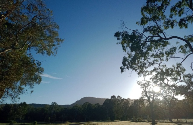 Relax on our farm, explore the local Tamborine and Canungra area