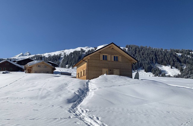 RelaxAlp - newly built for you! Chalet in the Silvretta Montafon ski area