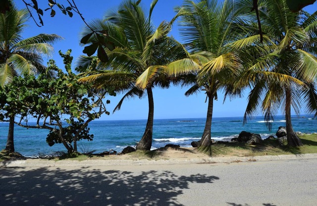 Relaxed Oceanfront home on quiet palm fringed Beach with large Oceanfront patio